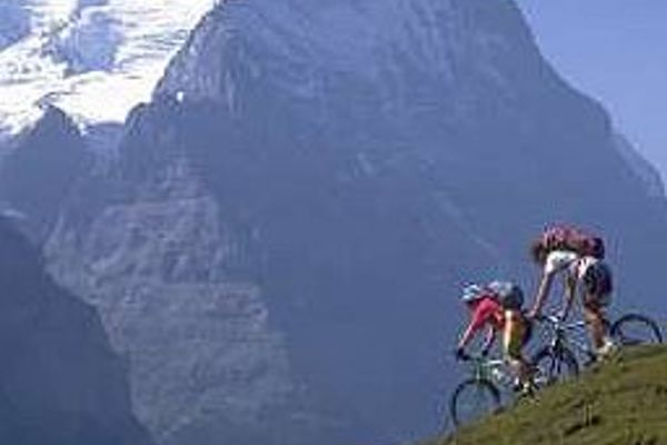 Romantik Hotel Schweizerhof (Grindelwald)